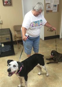 Ms. Dot and her new brother and mom!  Happy life Ms. Dot!
